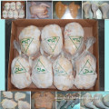 Best quality Wholesale frozen chicken